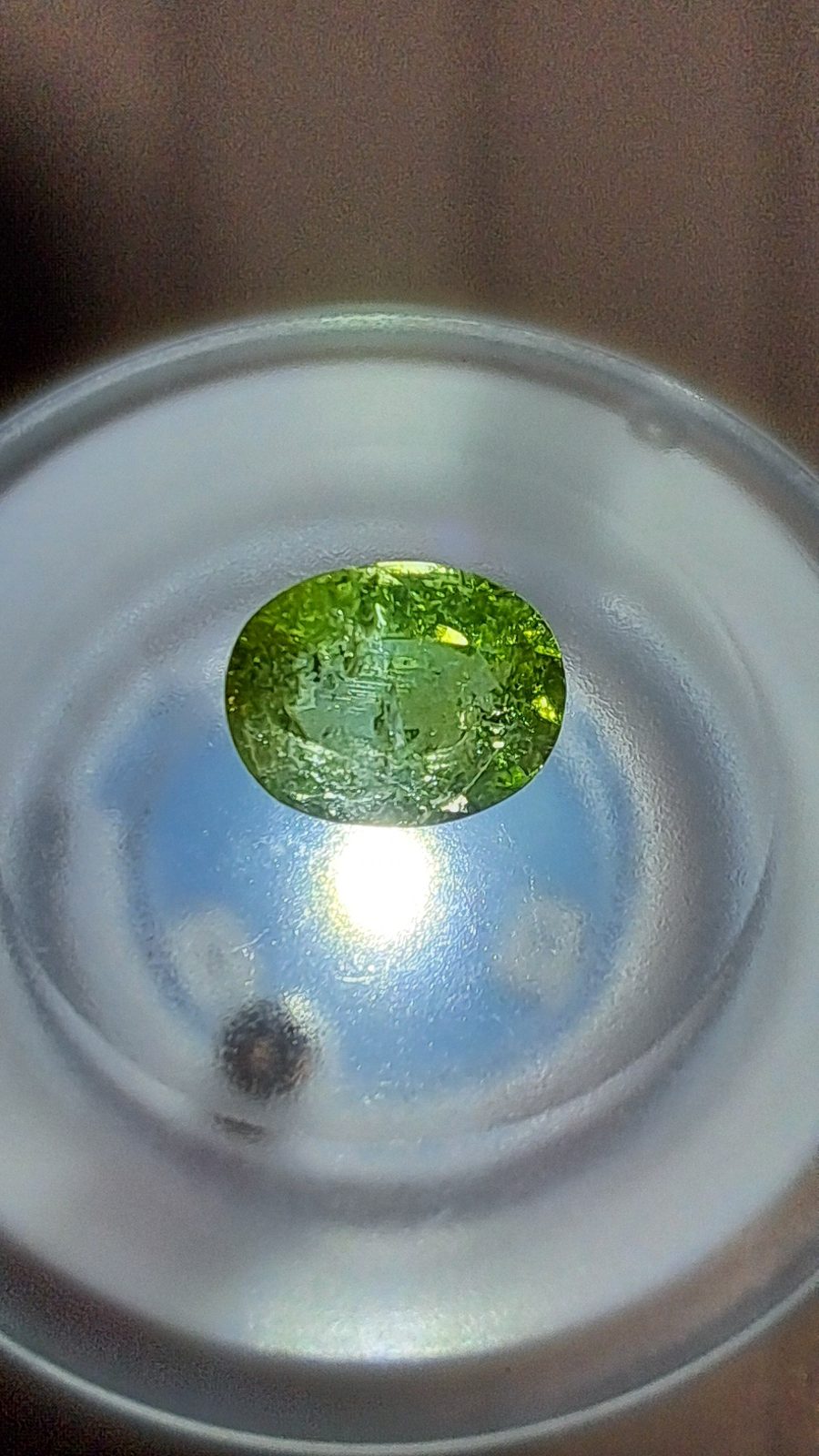 Green Tourmaline AAA Oval Facet Cut