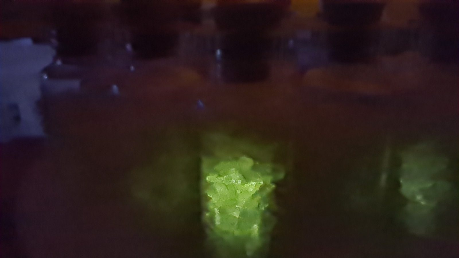 Phosphorescent Cave Calcite Crystal Shards in a Glass Cork Bottle x10