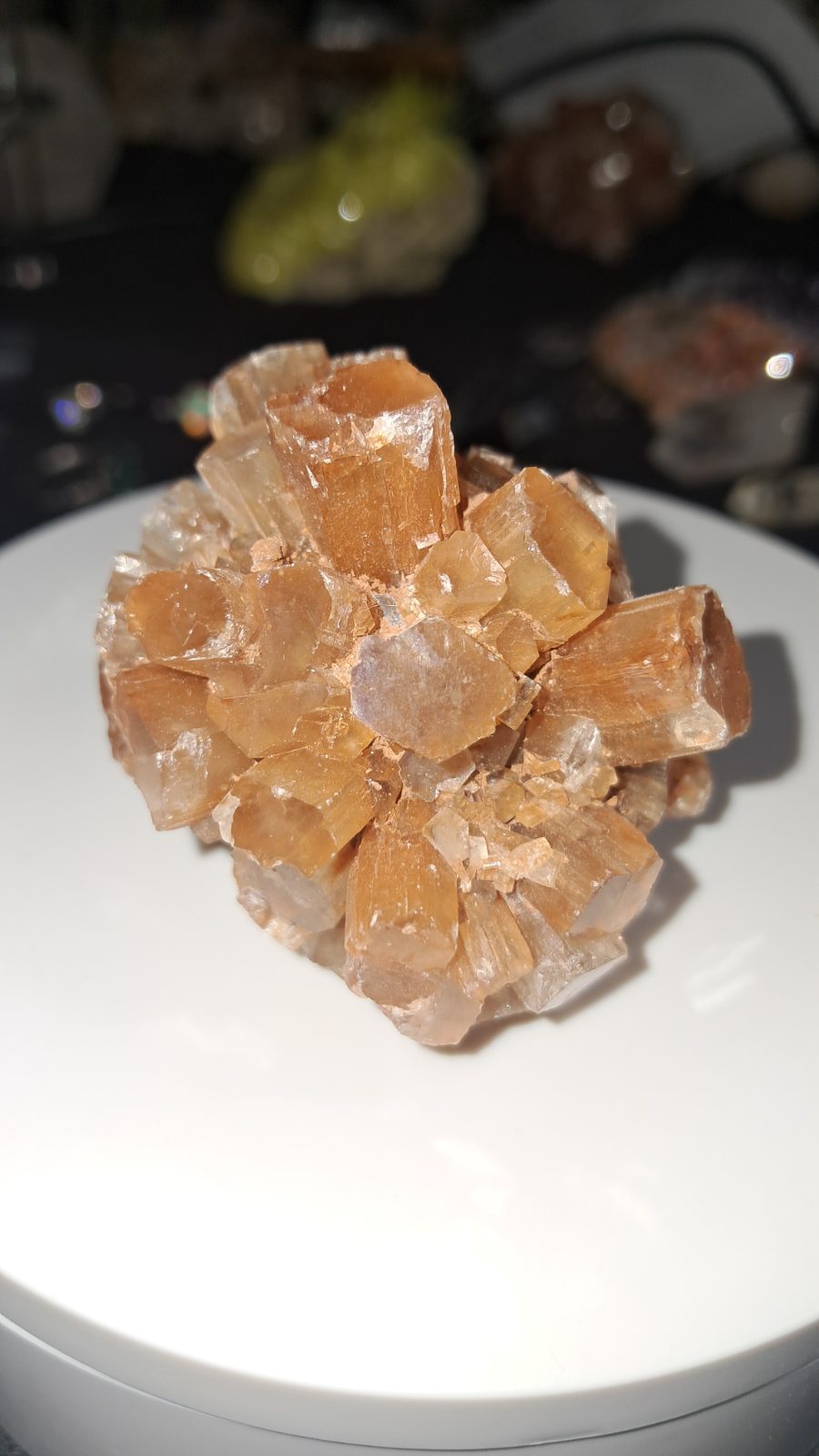 Aragonite Star Cluster