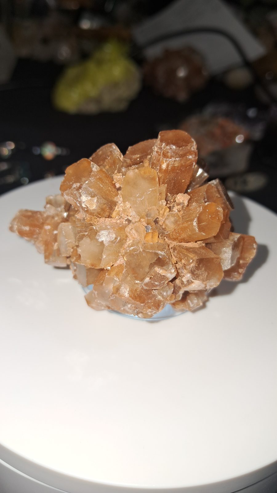 Aragonite Star Cluster