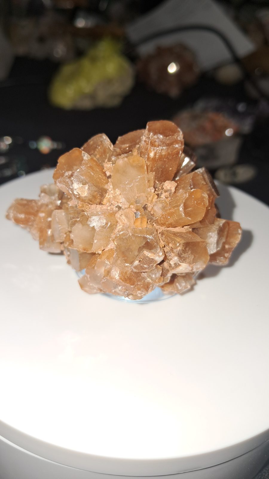 Aragonite Star Cluster